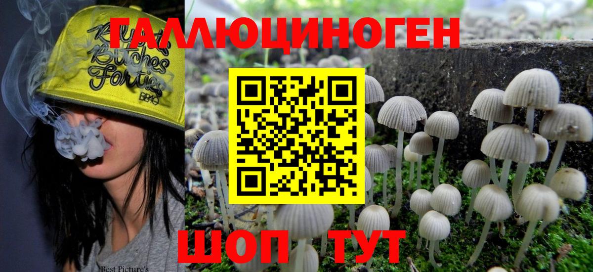 Муравленко  Галлюциногенные грибы мицелий  Вход с VPN 